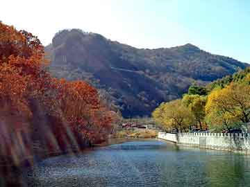 管家婆黑白马报图库，大上海小说